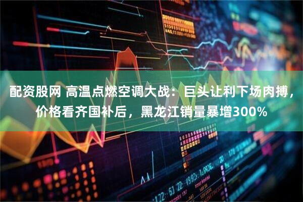 配资股网 高温点燃空调大战：巨头让利下场肉搏，价格看齐国补后，黑龙江销量暴增300%