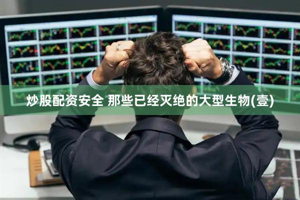 炒股配资安全 那些已经灭绝的大型生物(壹)