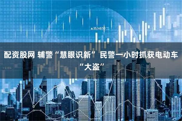 配资股网 辅警“慧眼识新” 民警一小时抓获电动车“大盗”