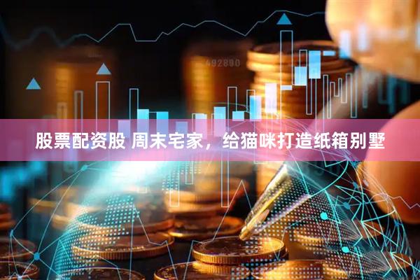 股票配资股 周末宅家，给猫咪打造纸箱别墅